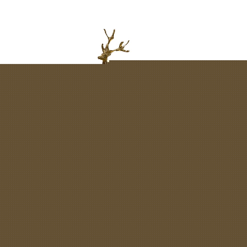 1074.jpg